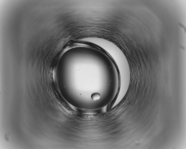 X0000094220239200710261236