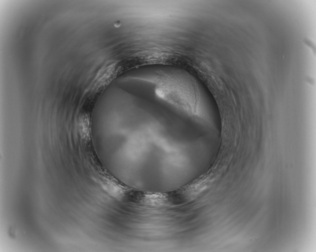 X0000094220240200710261236