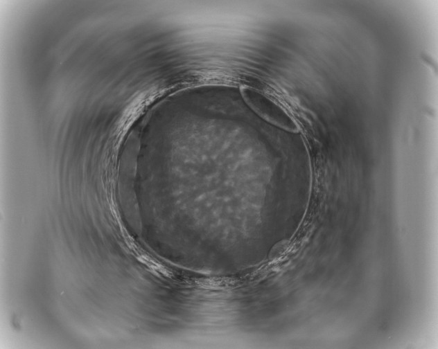 X0000094220241200710261235