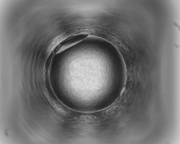 X0000094220242200710261235