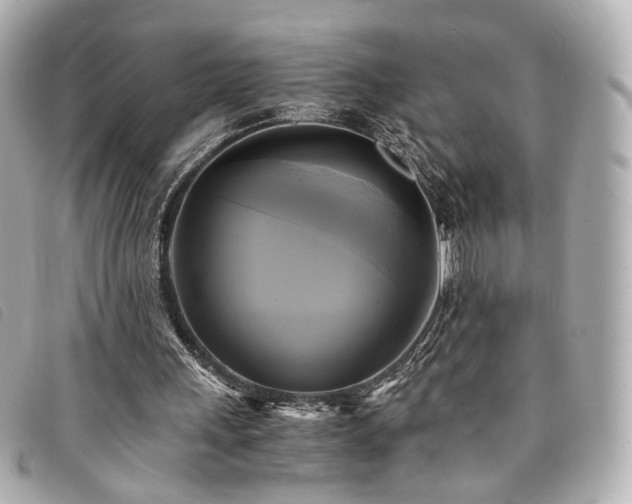 X0000094220243200710261235