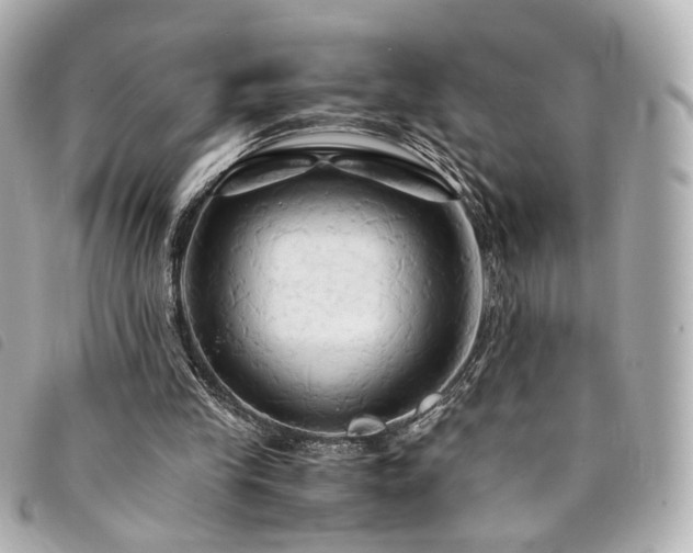 X0000094220245200710261235