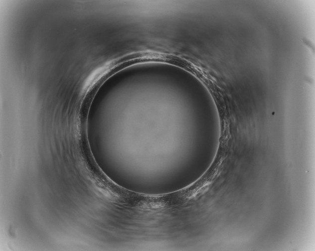 X0000094220247200710261235