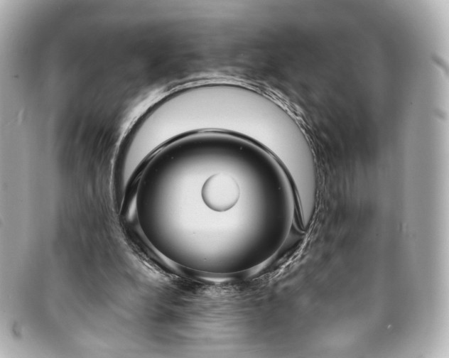 X0000094220248200710261235