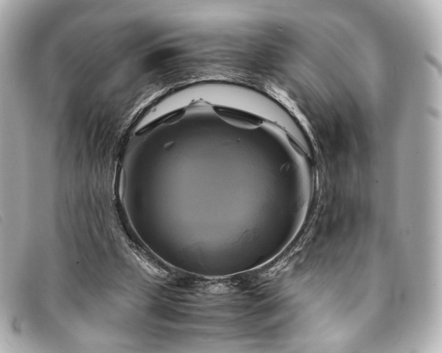 X0000094220249200710261235