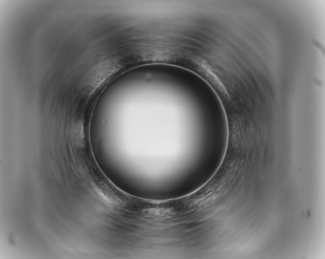 X0000094220251200710261235