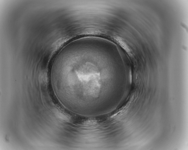 X0000094220252200710261235