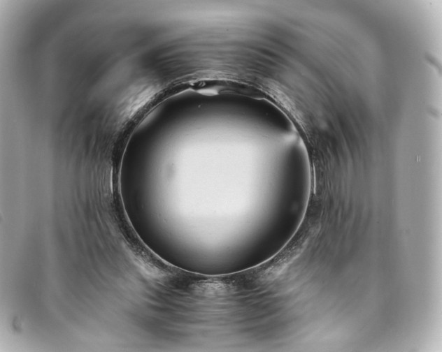 X0000094220253200710261235