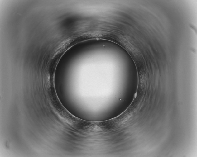 X0000094220254200710261235