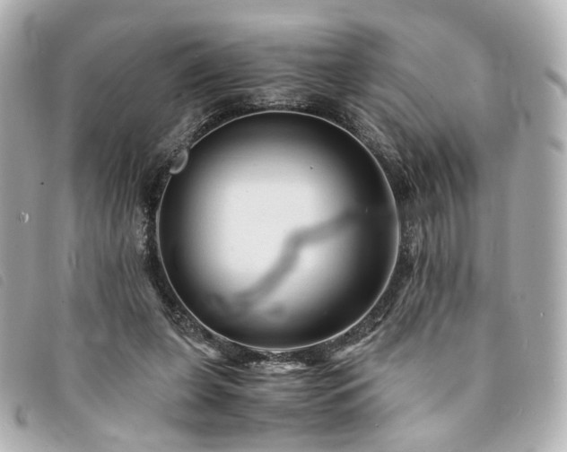 X0000094220255200710261235