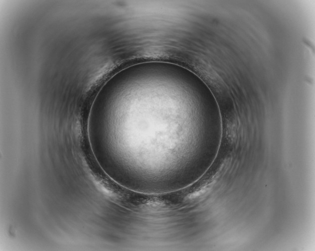 X0000094220256200710261235