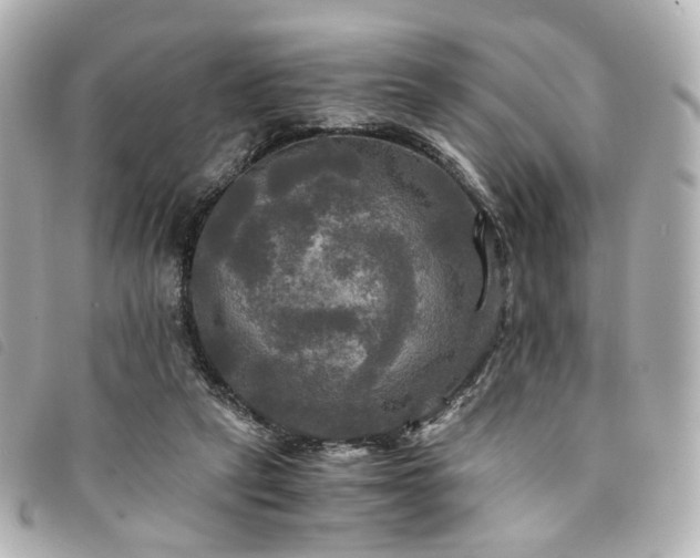 X0000094220257200710261235