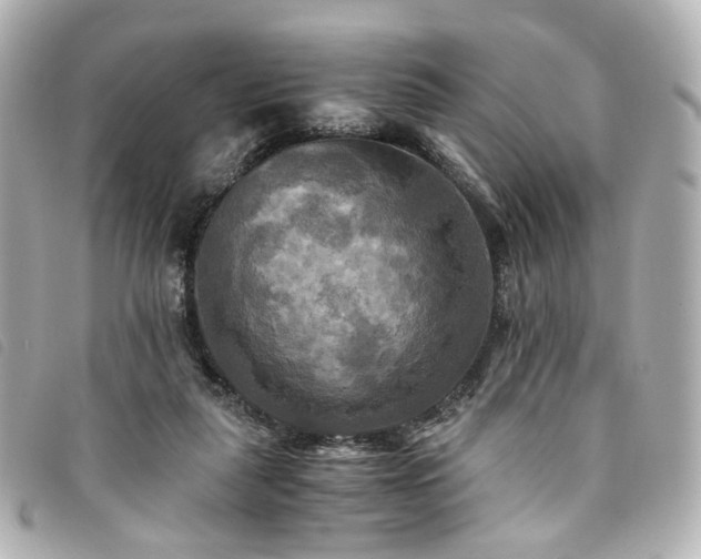 X0000094220259200710261235