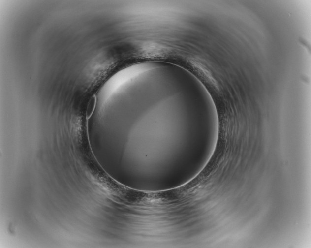 X0000094220260200710261235