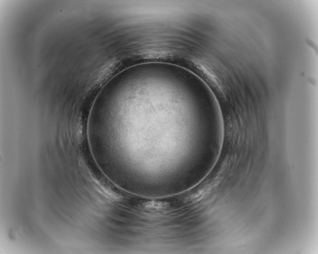 X0000094220261200710261235