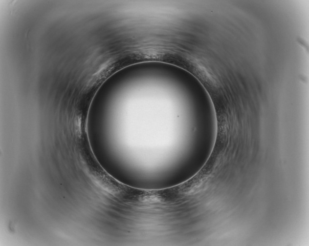 X0000094220262200710261235