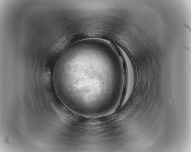 X0000094220263200710261235