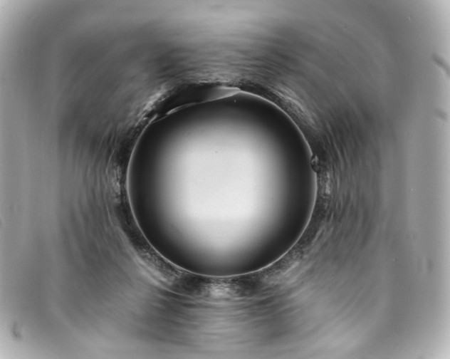 X0000094220264200710261235