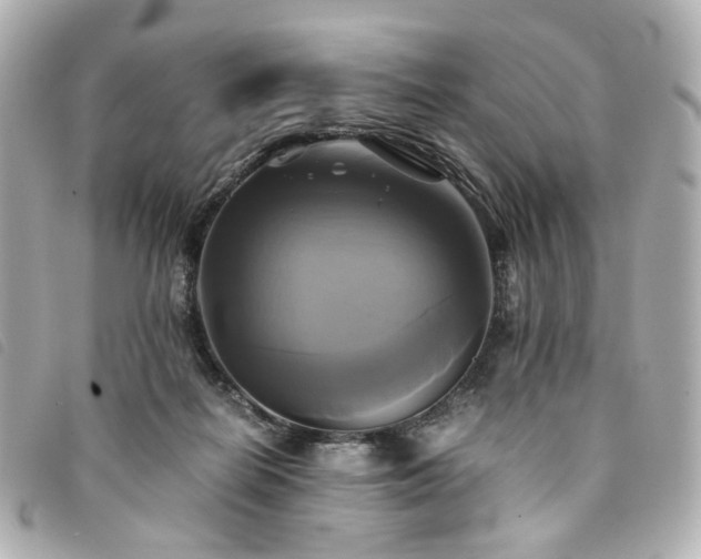 X0000094220266200710261235