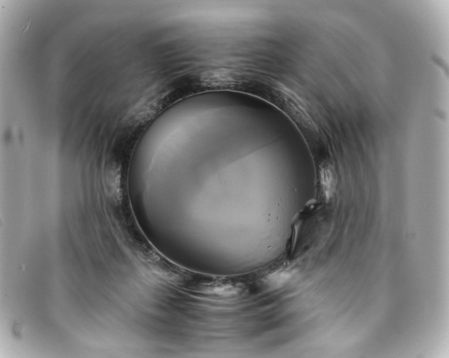 X0000094220267200710261235