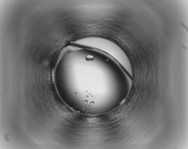 X0000094220268200710261235