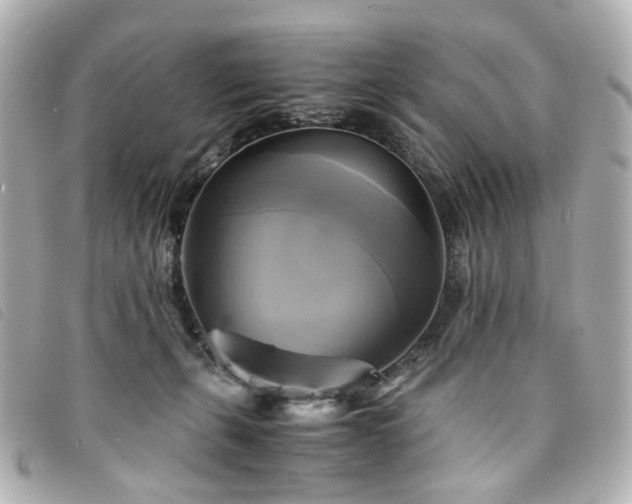 X0000094220271200710261235