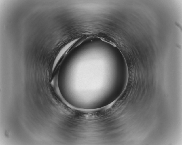 X0000094220272200710261235