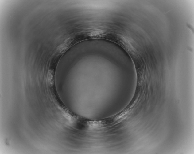 X0000094220273200710261235