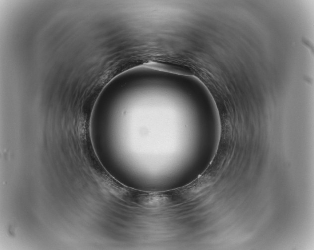 X0000094220274200710261235