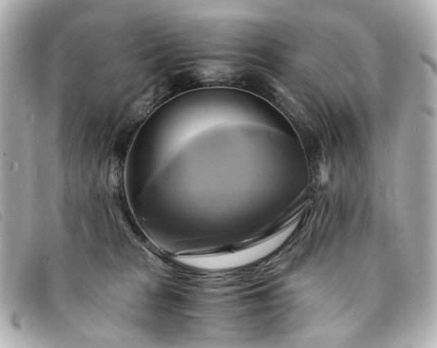 X0000094220277200710261235