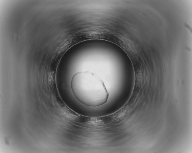 X0000094220278200710261235