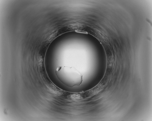 X0000094220279200710261235