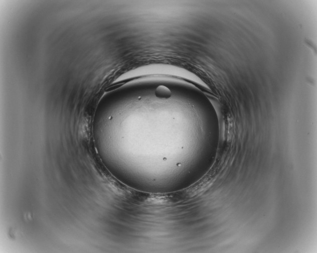 X0000094220280200710261235