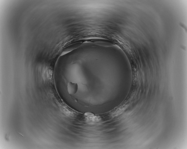 X0000094220281200710261235