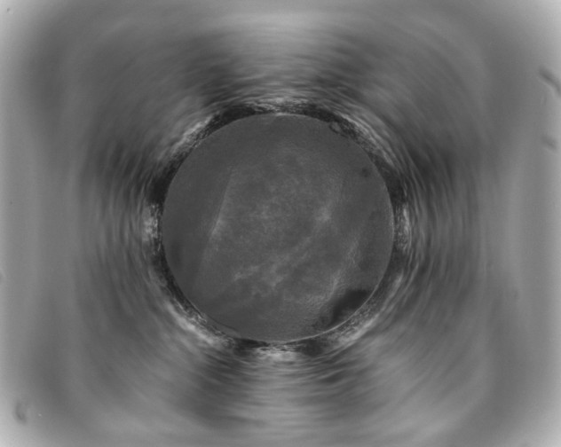 X0000094220284200710261236