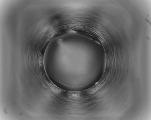 X0000094220285200710261236