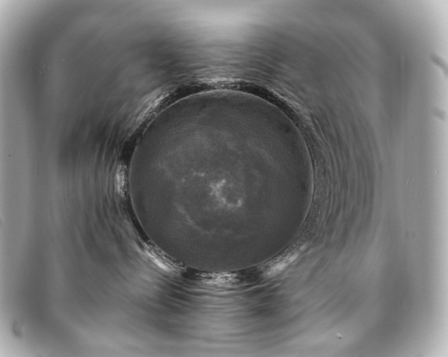 X0000094220288200710261236