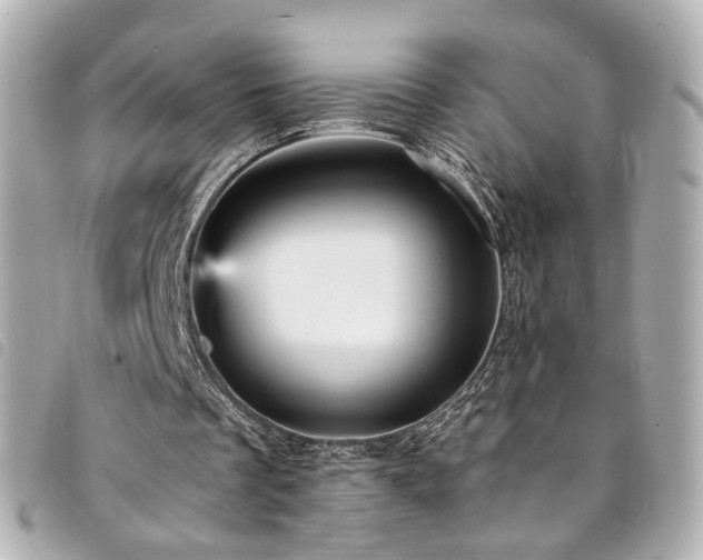 X0000094220289200710261235