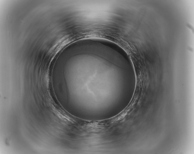 X0000094220290200710261235