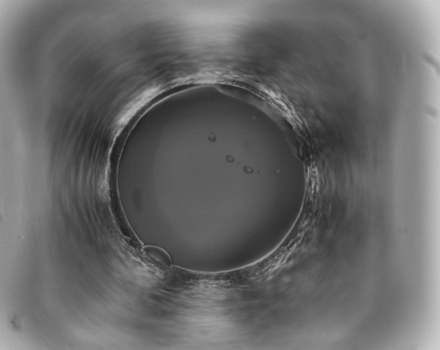 X0000094220292200710261235