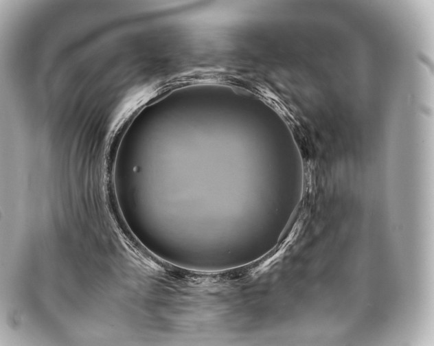 X0000094220293200710261235