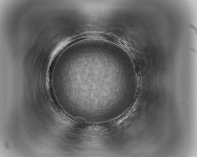 X0000094220294200710261235