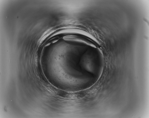 X0000094220295200710261235