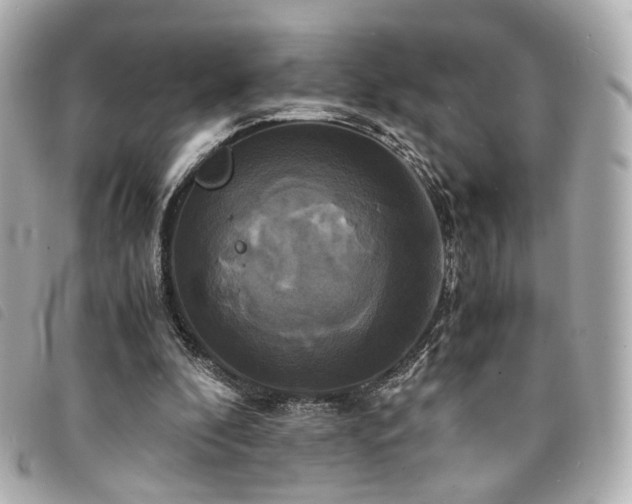 X0000094220296200710261235