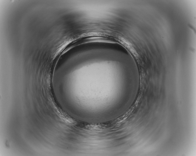 X0000094220297200710261235