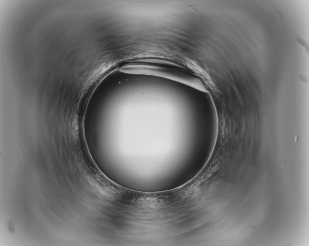 X0000094220298200710261235