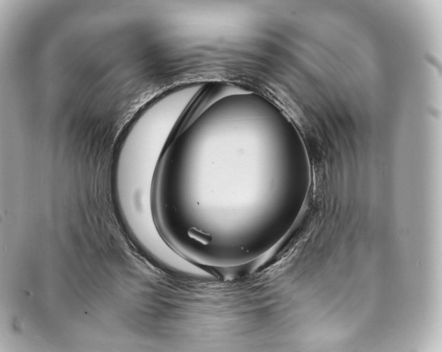 X0000094220301200710261235