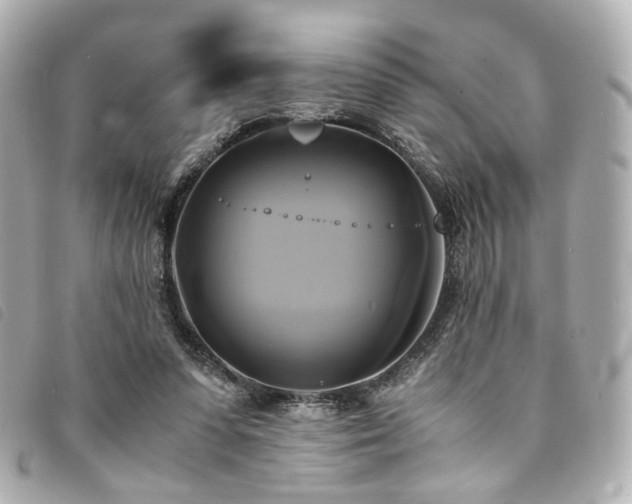 X0000094220303200710261235