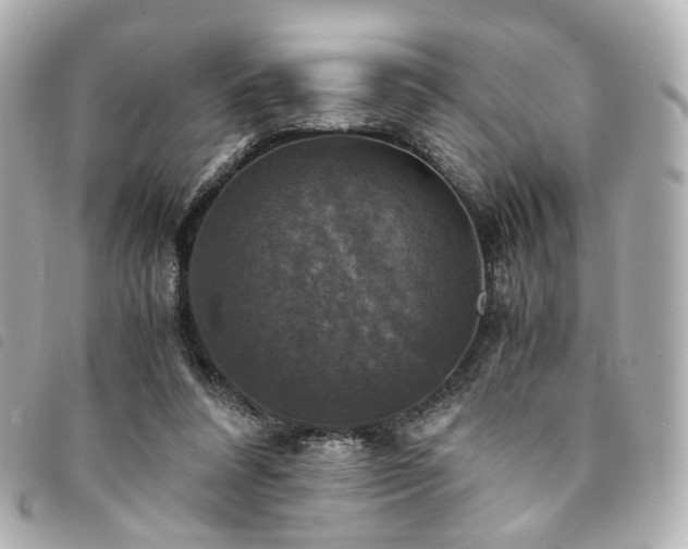 X0000094220304200710261235