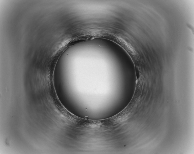 X0000094220306200710261235